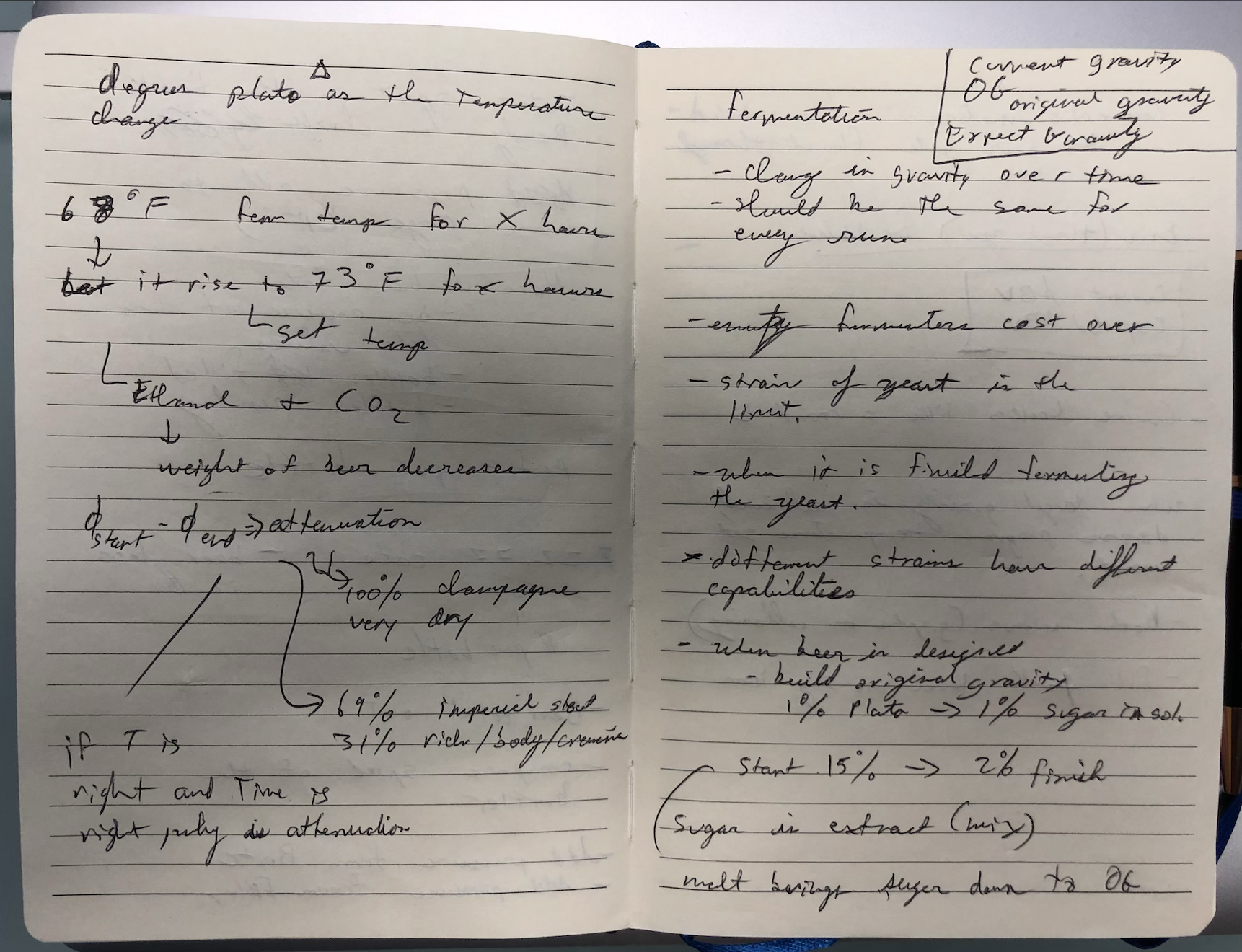 Handwritten research notes on fermentation, degrees Plato, gravity, and attenuation